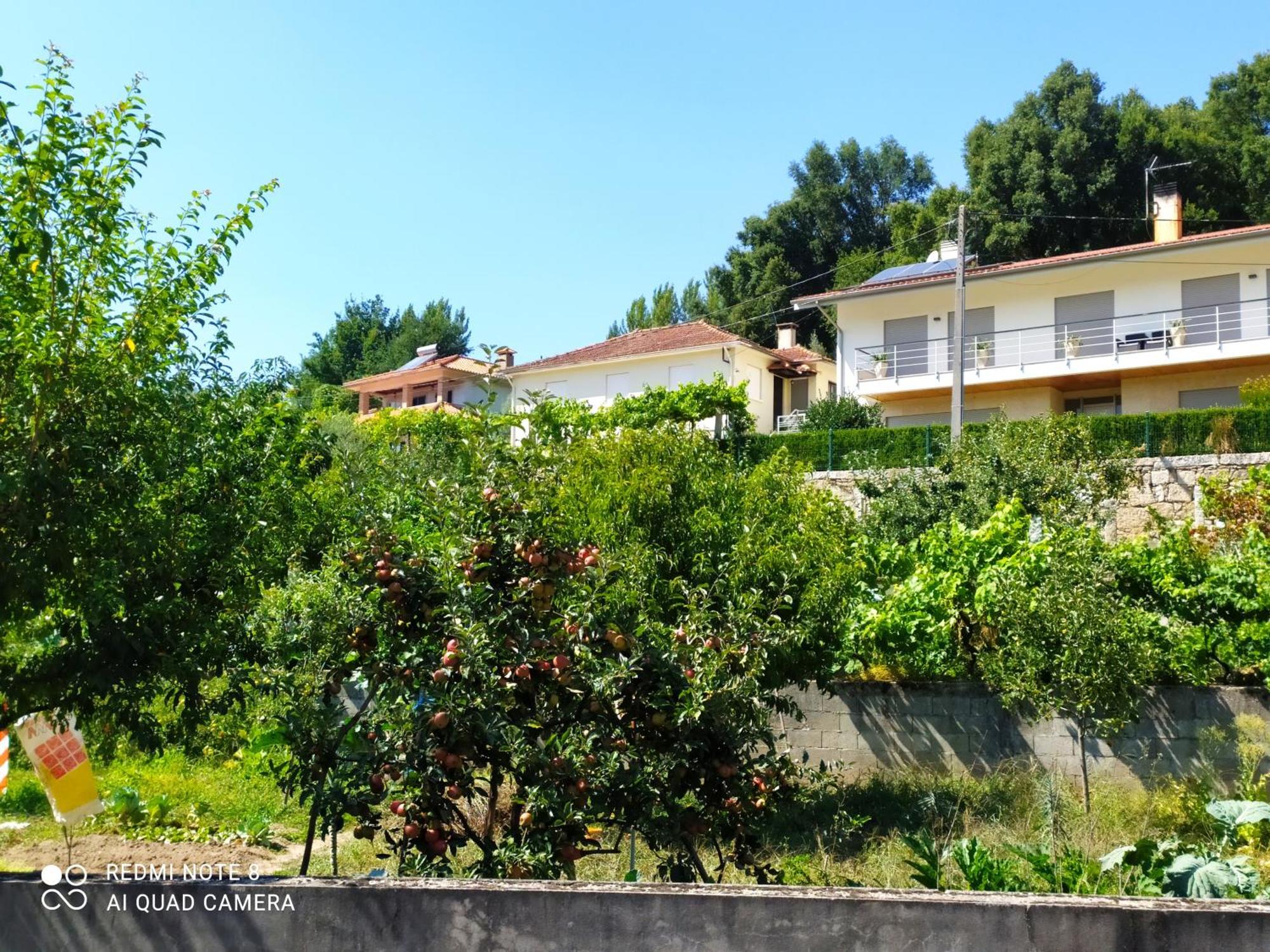 Bellavista Alojamento Арока Экстерьер фото